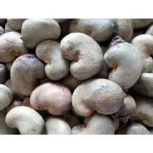 200 semillas de anacardo y manzana semillas plantación frutas tropicales raras árbol frutal exótico jardín exterior huerto saludable germinación alta resistencia popular - 200 - Ver 6