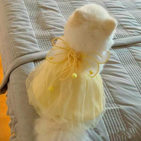 Abito da principessa con scollo a scivolata e design di ali luccicanti, per primavera/estate
