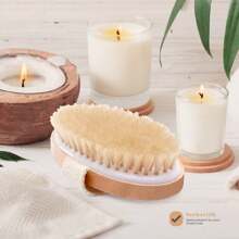 1 Stück Trockenbürstenkörperbürste, Körperhaut-Exfoliator-Kratzer, für trockenes Bürsten der Haut, Massage, Lymphdrainage & Verbesserung der Durchblutung, mittlere Stärke (Wildschweinborsten und Holzgriff) Trockenhaut-Körperbürste