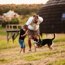 Dogline Dog Harness, Reflective No-Pull Adjustable Vest With Handle Walking, Training, Service Breathable No - Choke Harness Small, Medium Or Large Dogs Room Patches Girth 15 To 18 In RedChristmas BXJX - 綠色迷彩 - 查看 3