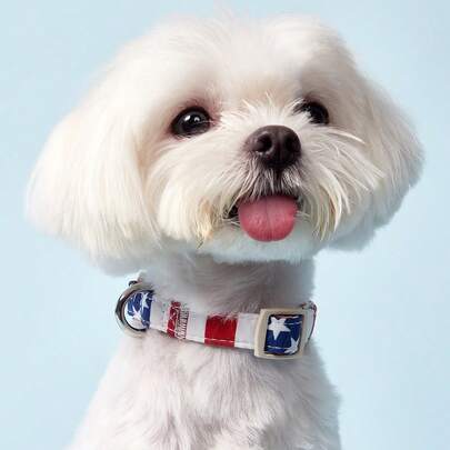 PETSIN 1pc Independence Day Dog Collar - Soft & Comfortable Nylon Adjustable Collar With Stripe & Star Pattern, American Flag Design, Suitable For Small To Medium Dogs, For Indoor And Outdoor Use