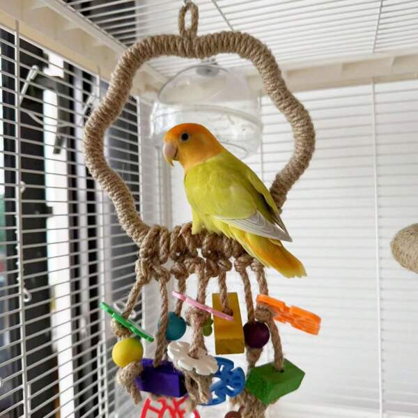 1pc Parrot Swing With Chewing Toy, Bird Supplies For Entertainment And Release, Durable Hanging Cage Accessory With Colorful Beads, Wooden Blocks And Natural Sisal Ropes, Suitable For Large, Medium And Small Birds
