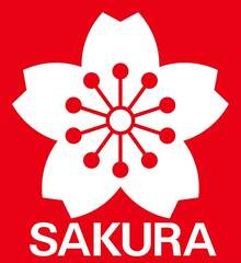 SAKURA PIGMA MICRON 05 FINELINER PEN, 0.45MM LINE WIDTH, PACK OF 2 (Black)