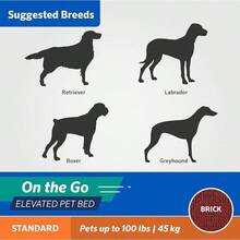 Coolaroo On-The-Go Elevated Dog Bed - Foldable Pop-Up Travel Dog Bed With Breathable, Moisture-Resistant Fabric, Carry Bag Included, Lightweight & Portable, Emerald Green, Standard - Brick - 查看 4