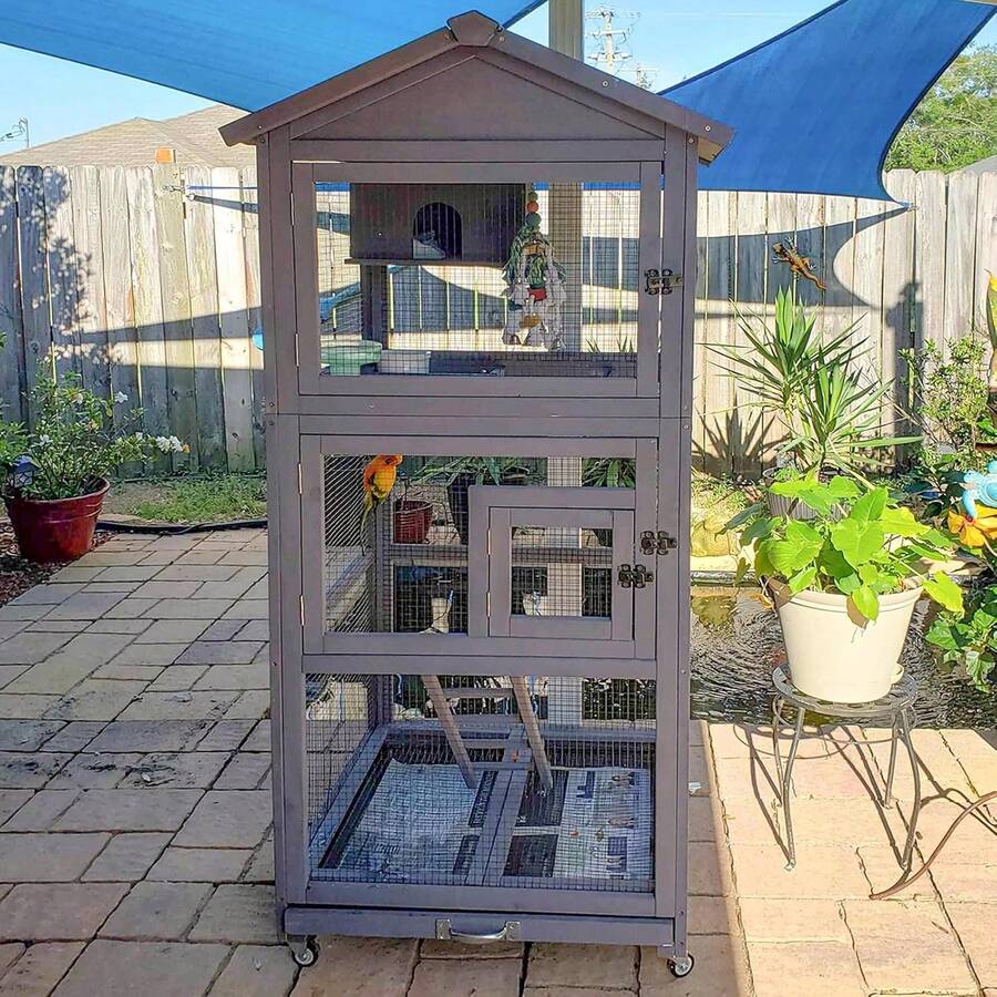 Thumbnail for Parrot Bird Aviary Suppliers In Usa