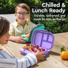 Lonchera a prueba de fugas Chill Kids - Caja Bento de 4 compartimentos con paquete de hielo incorporado, capacidad de 3.3 tazas, libre de PFAS y BPA, apta para microondas y lavavajillas, tamaño para edades de 3 a años (Verde/Azul Marino) - Morado - Ver 4