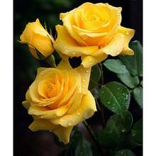 200 piezas arbustos florales en roseta, arbustos perennes, flores plantas de siembra, resistente, decoración exterior, germinación alta, paisajismo jardín maceta colorido vivaz diseño especial ornamental. - 200 - Ver 5