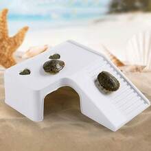 1 件龟晒台带食物托盘，龟箱装饰配件，适用于爬行动物和两栖动物