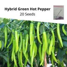 100 Seeds Hybrid Green Hot Pepper Seeds - 100 Seeds - View 2