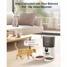Automatic Cat Feeders For 2Cats 6L 25cup Automatic Cat Food Dispenser With 2 Stainless Pet Bowls 10s Meal Call Timer Setting 20 Portions 4Meals Per Day Timed Pet Feeder For Cats Dog Indoor Dry Food - 如圖 - 查看 3
