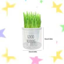 1 Stück automatischer selbstbewässernder bodenloser Katzengras-Pflanzer mit "Guten Morgen" Aufkleber, Selbstbewässerungstopf für Zimmerpflanzen, & leicht zu reinigende Wachstumsverfolgung, haustierfreundliche Heimdekoration - Weiß