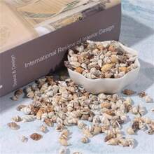 30g/Pacote Conchas Perfuradas de Tamanhos Variados, Materiais DIY de Contas, Acessórios Artesanais