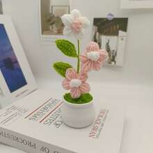 1 件成品手工泡芙钩针盆栽，手工编织盆栽，家居装饰，办公室装饰，汽车装饰，情人节、母亲节、圣诞节礼物 - 彩色 - 查看 13