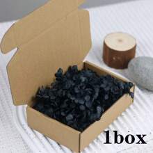 1 Box Natural Dried Flowers, Hydrangea Preserved Dried Flowers, Everlasting Flowers DIY Craft Decorative Material Pack, Baby's Breath Dried Flower Material Pack, High-Quality Plant Materials For DIY Crafts, Decorations, Non-Electrical, Without Feathers