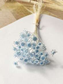 30/60/100/200枝星形干花，迷你雏菊干花，干花插花，DIY花卉材料，家居装饰