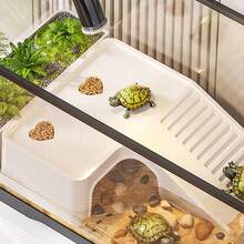 1 件龟晒台带食物托盘，龟箱装饰配件，适用于爬行动物和两栖动物