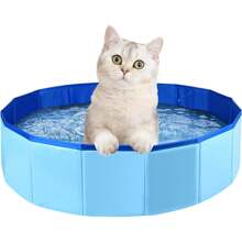 Accessoire de rafraîchissement d'été pour chien ! Piscine pliable, parc aquatique amusant et facile à installer