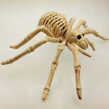 1pc Realistic Spider Skeleton Decor - Halloween Skeleton Model - Scary Animal Skeleton Decoration