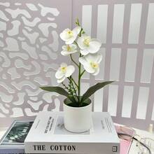 圣诞节、万圣节、情人节、节庆派对生日装饰。1件五盆蝴蝶兰盆栽仿真花摆件蝴蝶兰盆景办公室装饰仿真盆栽户外花园庭院绿植摆件 - 白色 - 查看 14