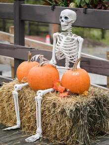 36 Inch Realistic Halloween Skeleton With Fully Posable Joints, Perfect For Indoor, Outdoor, Garden, Home Party, Cemetery And Haunted House Prop Decoration - Multicolor - View 2