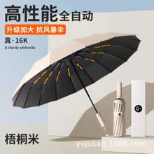 Umbrellas