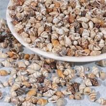 30g/Pacote Conchas Perfuradas de Tamanhos Variados, Materiais DIY de Contas, Acessórios Artesanais