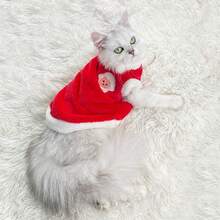 Wholesale Pet Clothes, Cat Clothes, Cat Autumn/Winter Clothes, Two-Legged Pet Vest, Warm And Cute Plush Cat Clothes - Red - View 20