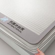 Cooling Mattress Pads - Antibacterial Ice Cooling Mat-herbal Tea Powder Bed Mat - View 7