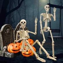 36 Inch Realistic Halloween Skeleton With Fully Posable Joints, Perfect For Indoor, Outdoor, Garden, Home Party, Cemetery And Haunted House Prop Decoration - Multicolor - View 5