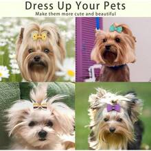 2025Hot SaleYxiang 100PCS Cute Pet Grooming Accessories - Colored Polka Dot Hair Bows With Rubber Bands For Small Dogs And Puppies Like Yorkies - 50 Pairs