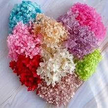 1 Box Natural Dried Flowers, Hydrangea Preserved Dried Flowers, Everlasting Flowers DIY Craft Decorative Material Pack, Baby's Breath Dried Flower Material Pack, High-Quality Plant Materials For DIY Crafts, Decorations, Non-Electrical, Without Feathers