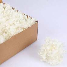1 Box Natural Dried Flowers, Hydrangea Preserved Dried Flowers, Everlasting Flowers DIY Craft Decorative Material Pack, Baby's Breath Dried Flower Material Pack, High-Quality Plant Materials For DIY Crafts, Decorations, Non-Electrical, Without Feathers