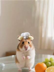 1件/2件新款仓鼠厨师帽，仓鼠搞笑变身厨师帽，仓鼠，豚鼠，小宠物帽，蛇，鹦鹉，鸟，鸡，鸭，蜥蜴帽 - 彩色 - 查看 10