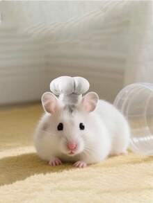 1件/2件新款仓鼠厨师帽，仓鼠搞笑变身厨师帽，仓鼠，豚鼠，小宠物帽，蛇，鹦鹉，鸟，鸡，鸭，蜥蜴帽 - 彩色 - 查看 8