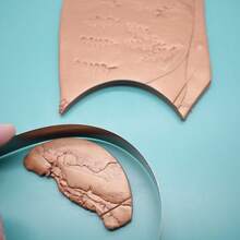 亚克力粘土擀面杖、透明背板、粘土擀面杖、柔性切割刀片、用于DIY粘土首饰的聚合物粘土工具 - 無色 - 查看 6