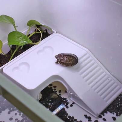 1 件龟晒台带食物托盘，龟箱装饰配件，适用于爬行动物和两栖动物