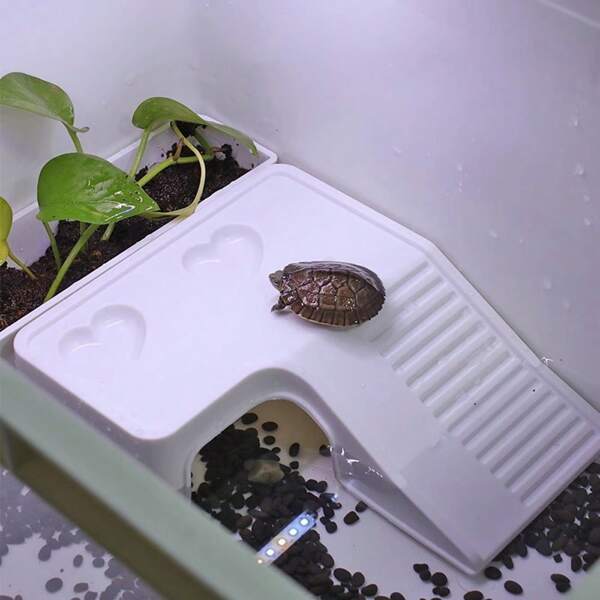 1 pezzo Piattaforma di basking per tartarughe con vassoio per il cibo, accessori decorativi per terrari di tartarughe, adatto per rettili e anfibi