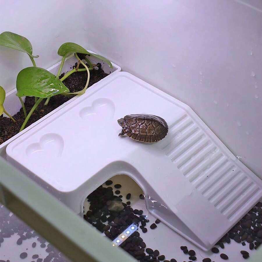 1 件龟晒台带食物托盘，龟箱装饰配件，适用于爬行动物和两栖动物