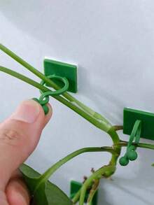20 piezas de Clips para pared de plantas, utilizados para trepar árboles verdes, herramientas de escalada, fijación de clips de enredaderas, ganchos de escalada, anillos de hebilla verde, dispositivos de fijación de plantas verdes sin rastro, adecuados para jardinería, jardines y campos