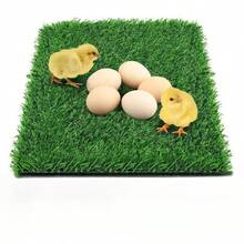 20毫米厚高密度人造草坪垫，宠物狗厕所草坪垫，训练垫，猫狗便盆垫，适用于庭院、婚礼通道等场所 - S - 查看 4