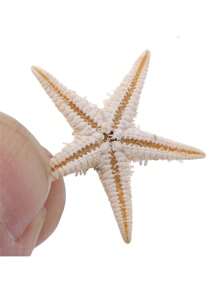 2pcs Miniature Sea Turtle Figurines - Realistic Resin Decorations For Fish Tank Landscape, DIY Aquarium Ornaments, Small Turtle Accessories For Aquatic Decor