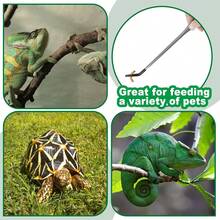 2PCS Stainless Steel Reptile Feeding Tongs With Rubber Tip, 10.6 Straight And Curved Long Tweezers Terrarium Aquascape Tools Feeder Lizards, Bearded Snake Enclosure Accessories - 1 - View 7