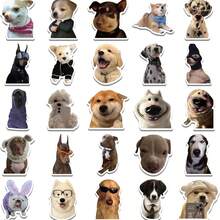 (2 Sets Of) 50pcs/100pcs Funny Dog Cute Sticker Pack, Creative Doodle Stickers For Planner, Diary, Phone Case, Tablet, Laptop Decor, Back To School Gift - Multicolor - View 7
