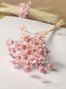 30/60/100/200枝星形干花，迷你雏菊干花，干花插花，DIY花卉材料，家居装饰