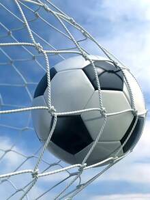 1个加厚编织足球网，适用于11人制、7人制、5人制足球门，比赛专用