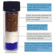 Seeds Gift 500Pcs Chief Rose Celosia Seeds (30) - Flower Seeds In Frozen Seed Capsules - Variant1 - View 3