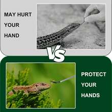 2PCS Stainless Steel Reptile Feeding Tongs With Rubber Tip, 10.6 Straight And Curved Long Tweezers Terrarium Aquascape Tools Feeder Lizards, Bearded Snake Enclosure Accessories - 1 - View 5