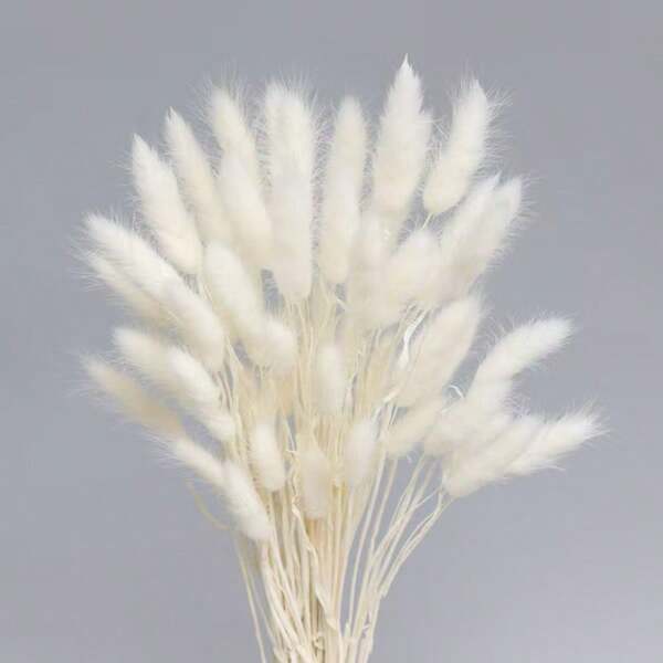 60/120pcs Boho Style Hanging Ornaments Pampas Grass And Rabbit Tail Grass Dried Flower Bouquets For Wedding Home Party Decor DIY Arrangements Harvest Festival Halloween Christmas