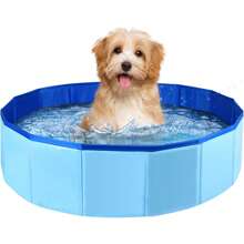 Accessoire de rafraîchissement d'été pour chien ! Piscine pliable, parc aquatique amusant et facile à installer