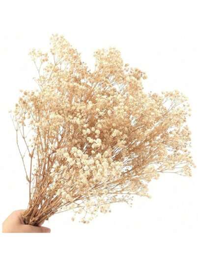 40/70g Gypsophila Dried 2000+ Natural Gypsophila Dried Flowers Flower Bud Real Dried Flower Bouquet For Wedding Bridal Bouquets Vases Pampas Grass Decoration (White)